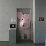 意識　　ドアにくっつけて、人々が通ることで成り立つ。動物園で見た豚。日々食べている肉。これらは同じもの。それを意識して生きていくか、いかないのか。この豚を見つめながら扉を開くか。反対側から、何も見ずに進むか。突然ドアに仕掛け、通る人のリアクションを録画した。